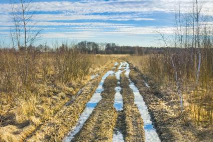 Schmuckbild Feldweg mit Pfützen