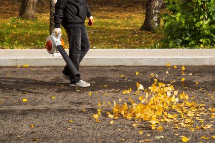 Schmuckbild Herbst Laub Gebläse